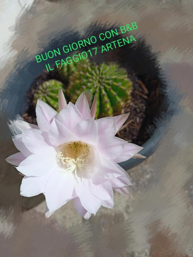 Il Faggio 17 B&B Artena Dış mekan fotoğraf