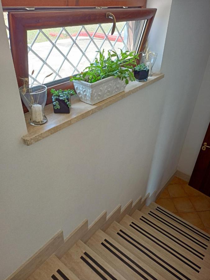 Il Faggio 17 B&B Artena Dış mekan fotoğraf