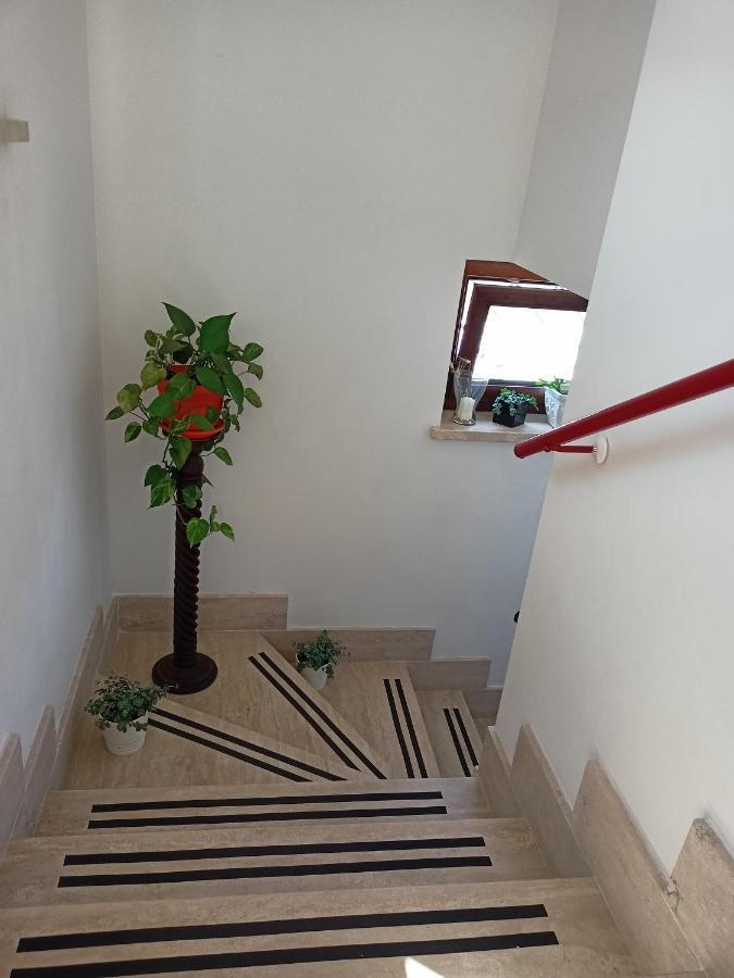 Il Faggio 17 B&B Artena Dış mekan fotoğraf