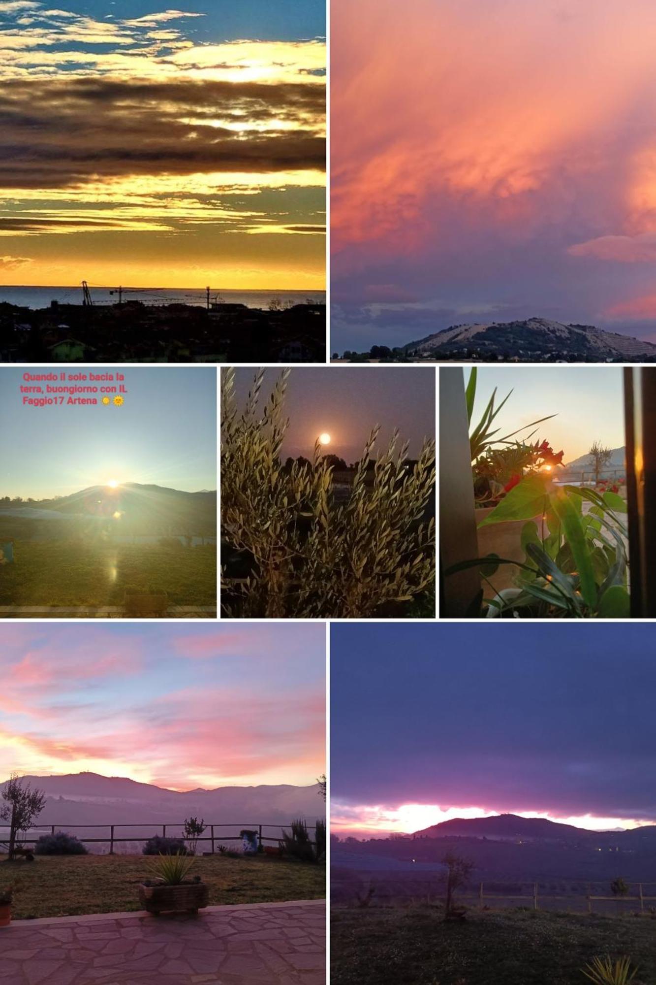 Il Faggio 17 B&B Artena Dış mekan fotoğraf