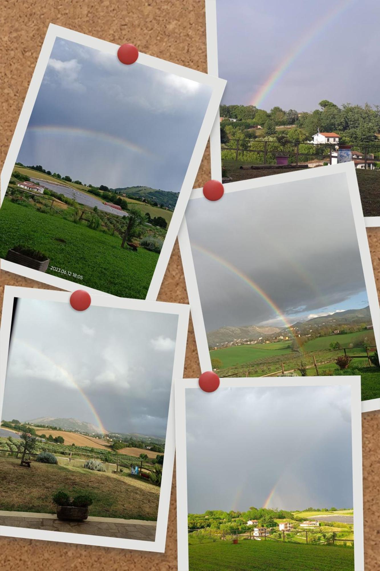 Il Faggio 17 B&B Artena Dış mekan fotoğraf