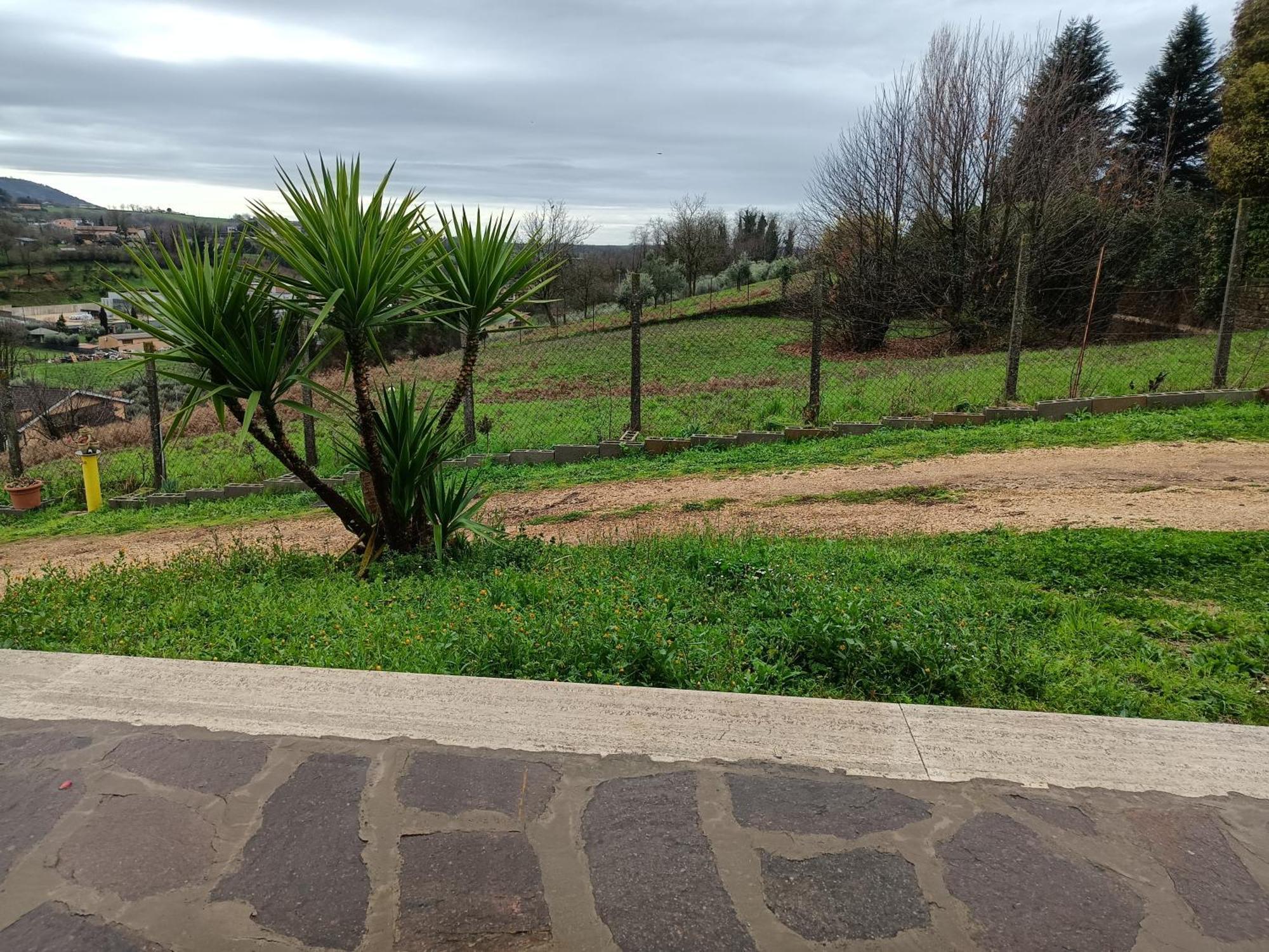 Il Faggio 17 B&B Artena Dış mekan fotoğraf
