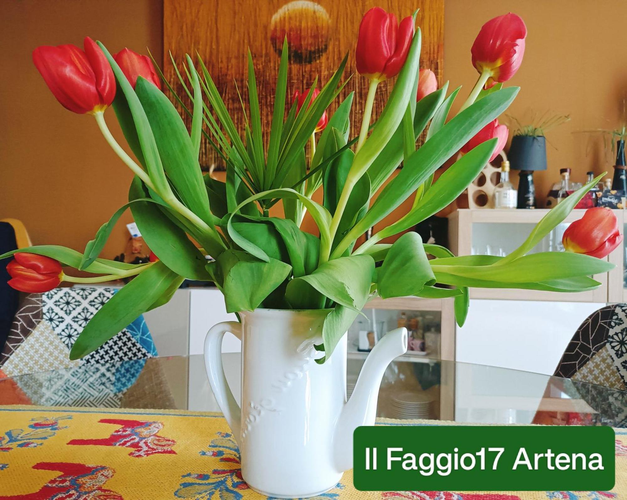 Il Faggio 17 B&B Artena Dış mekan fotoğraf