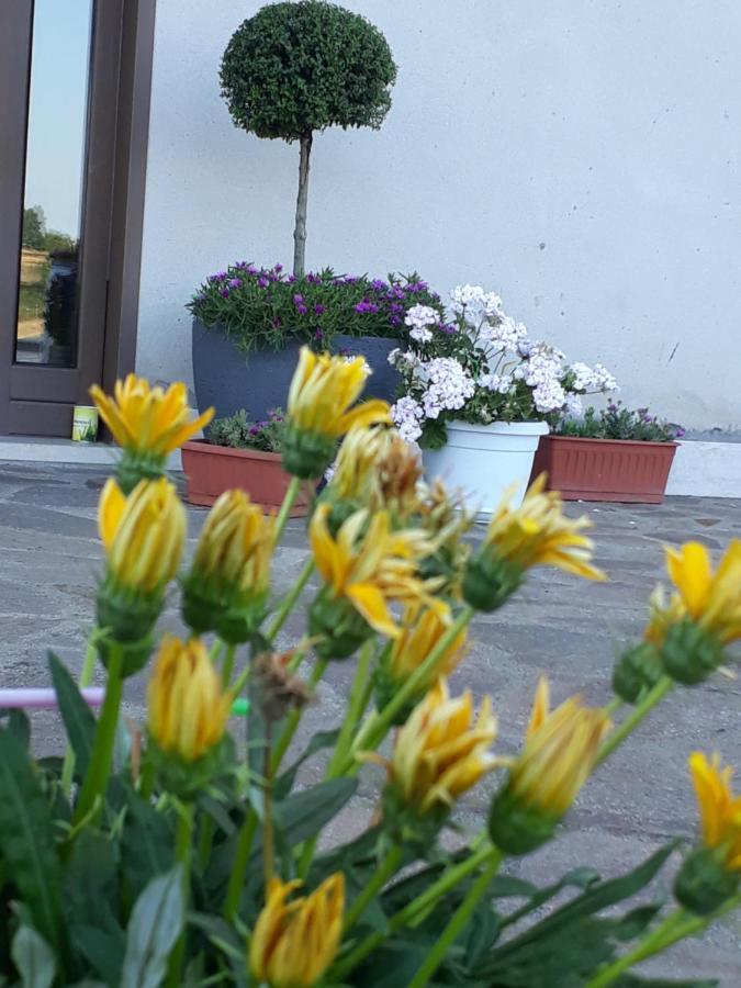Il Faggio 17 B&B Artena Dış mekan fotoğraf